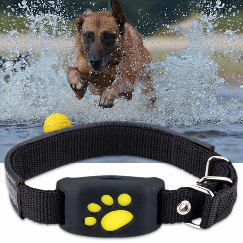 Pet GPS Tracker Collar Pet GPS Tracker Collar